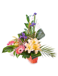 Centros de flores - F230