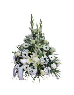 Centros funerarios - F920